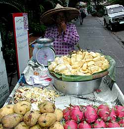 Foto1-18-05-2002.jpg (15827 bytes)