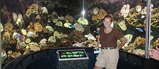 Foto1-27-7-2002.jpg (15921 bytes)