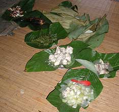 Foto4-3-8-2002.jpg (10640 bytes)
