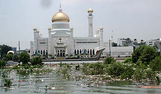 Foto1-22-8-2002.jpg (14678 bytes)