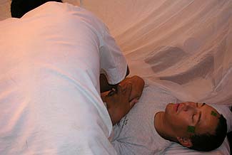 Foto1-11-06-2003.jpg (8537 bytes)