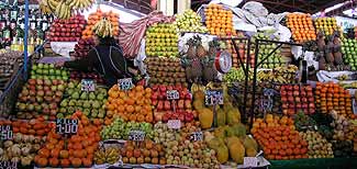 Foto1-18-07-2003.jpg (17003 bytes)