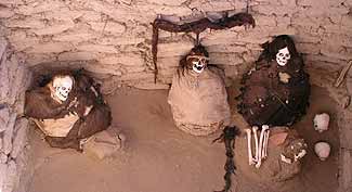 Foto5-22-07-2003.jpg (10753 bytes)