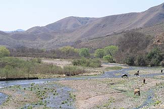 Foto1-26-09-2003.jpg (15810 bytes)