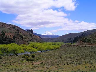 Foto1-26-10-2003.jpg (15732 bytes)