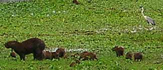 Foto1-24-04-2003.jpg (11414 bytes)