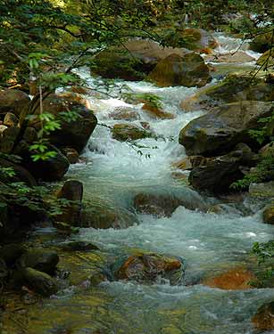 Foto1-31-05-2004.jpg (22612 bytes)