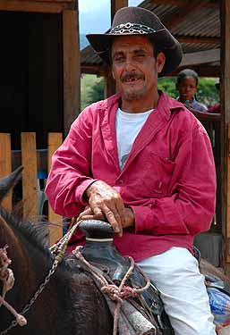 Foto2-4-6-2004.jpg (16794 bytes)