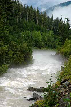 Foto3-19-08-2004.jpg (20563 bytes)