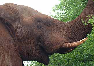 Foto6-07-01-2005.jpg (14762 bytes)