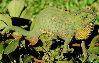 Foto2-06-05-2005.jpg (17999 bytes)