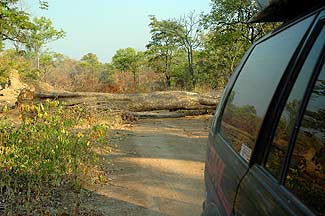 Foto2-28-05-2005.jpg (18442 bytes)