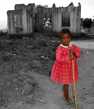 Foto6-01-06-2005.jpg (20557 bytes)
