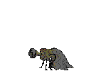 fotogalleri2.gif (10712 bytes)